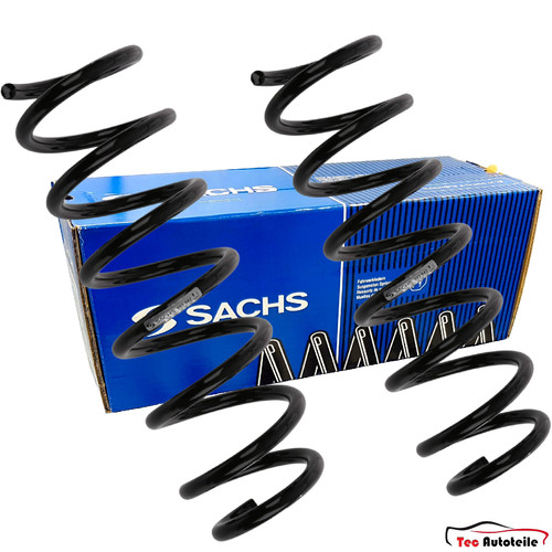 Molle sachs anteriori - molle,